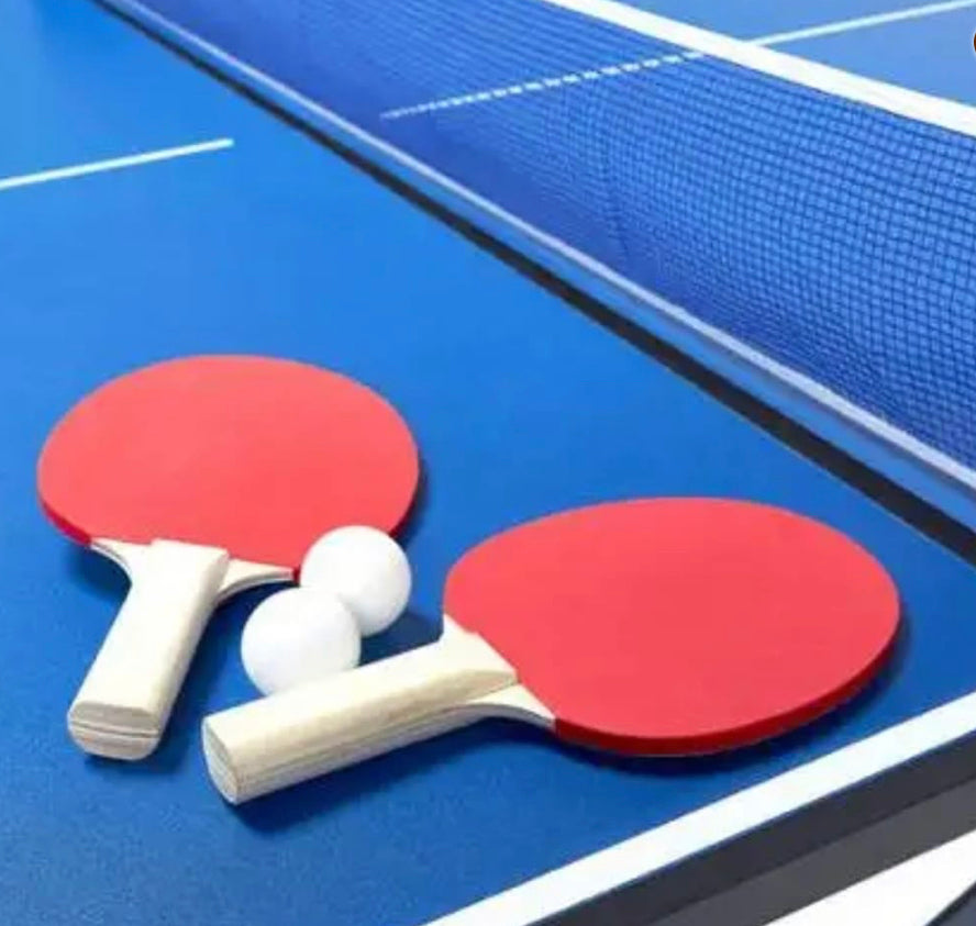 שולחן פינג פונג בגודל מקצועי עם משלוח חינם עד הבית לקומת קרקע