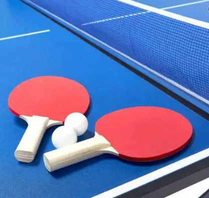 שולחן פינג פונג בגודל מקצועי עם משלוח חינם עד הבית לקומת קרקע